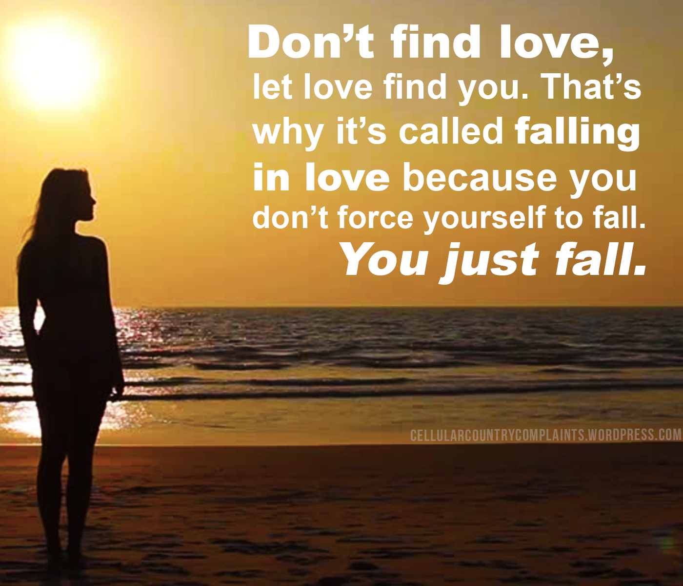 Don t find love because love will find you…